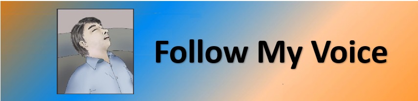 follow my voice