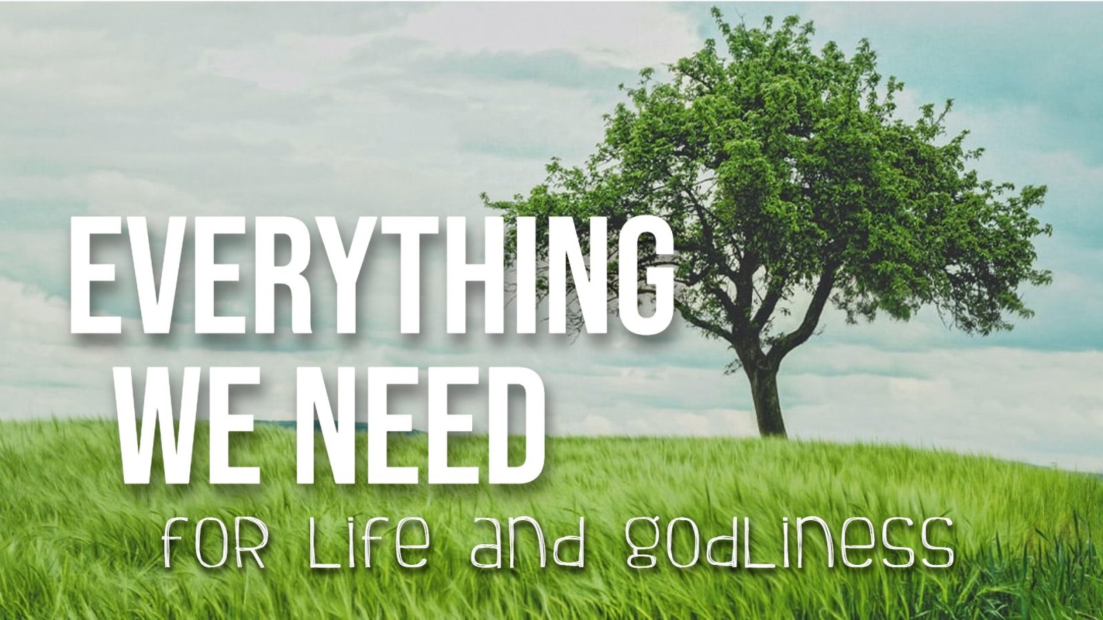 EverythingWeNeed