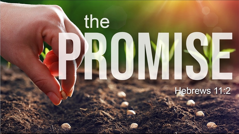The Promise